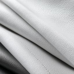 Extension Maintenance Membership