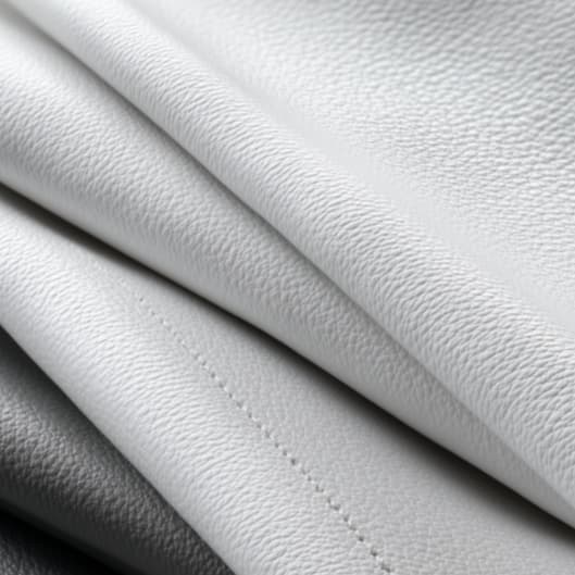 Extension Maintenance Membership